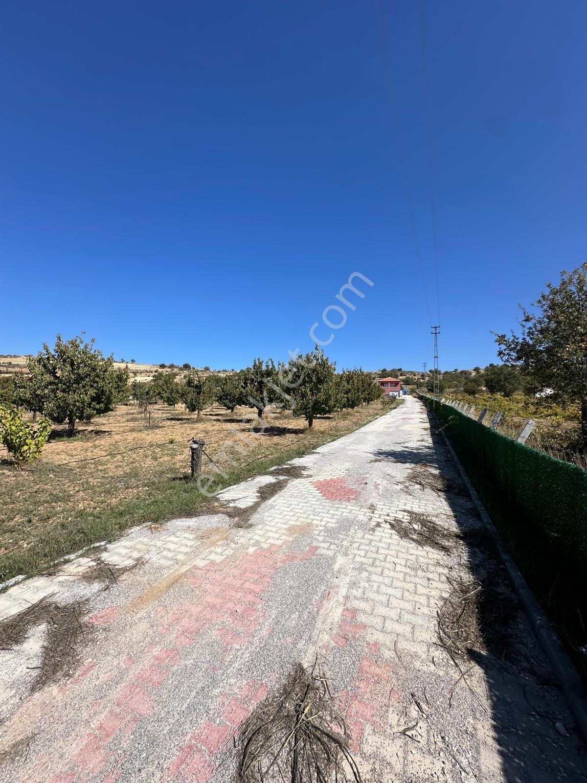 Morcalı Köyü’nde İçerisin'de Evi 2+1 Evi 6.400 M² Bahçe İçerisinde Doğayla İç İçe Huzurlu Bir Yaşam! — fotoğraf 16
