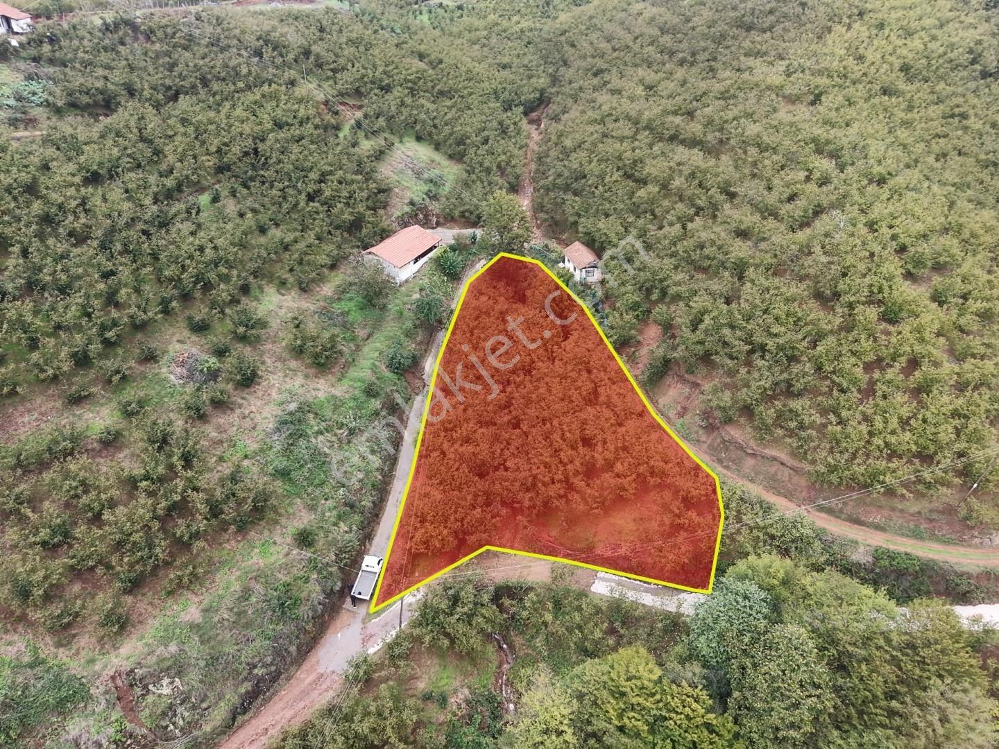 Emlakevim - Hendek Dereköy Mah. De Satılık 1222 M2 Arsa !!!