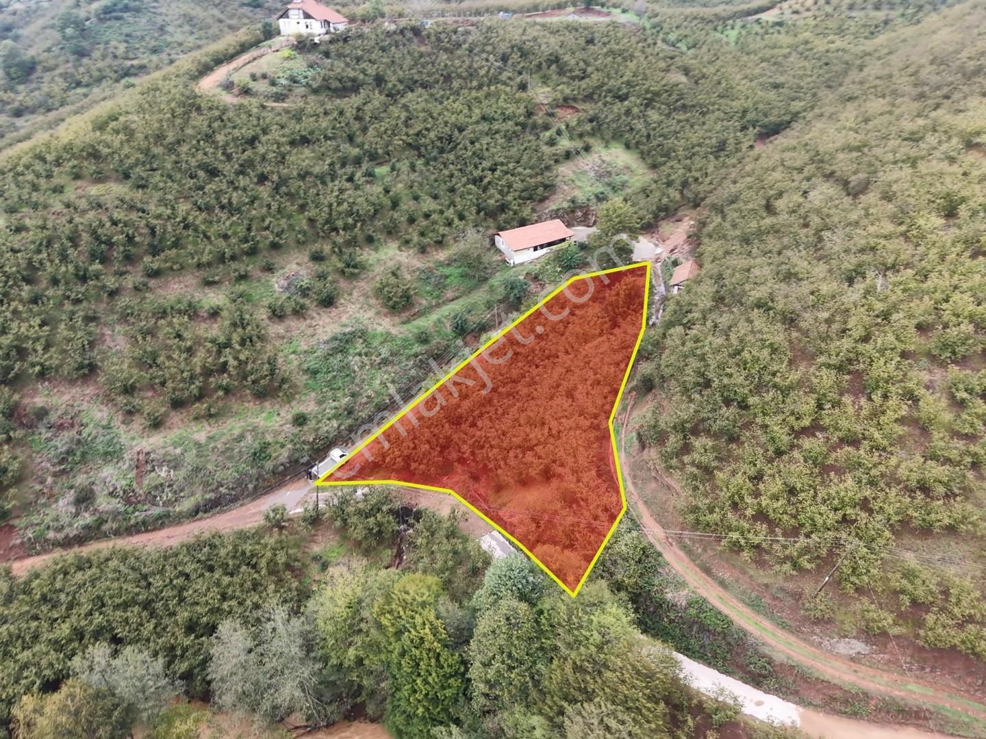 Emlakevim - Hendek Dereköy Mah. De Satılık 1222 M2 Arsa !!! — fotoğraf 3