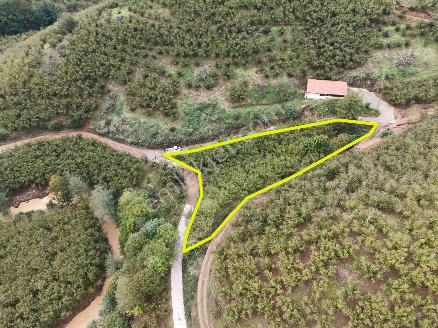 Emlakevim - Hendek Dereköy Mah. De Satılık 1222 M2 Arsa !!! — fotoğraf 5