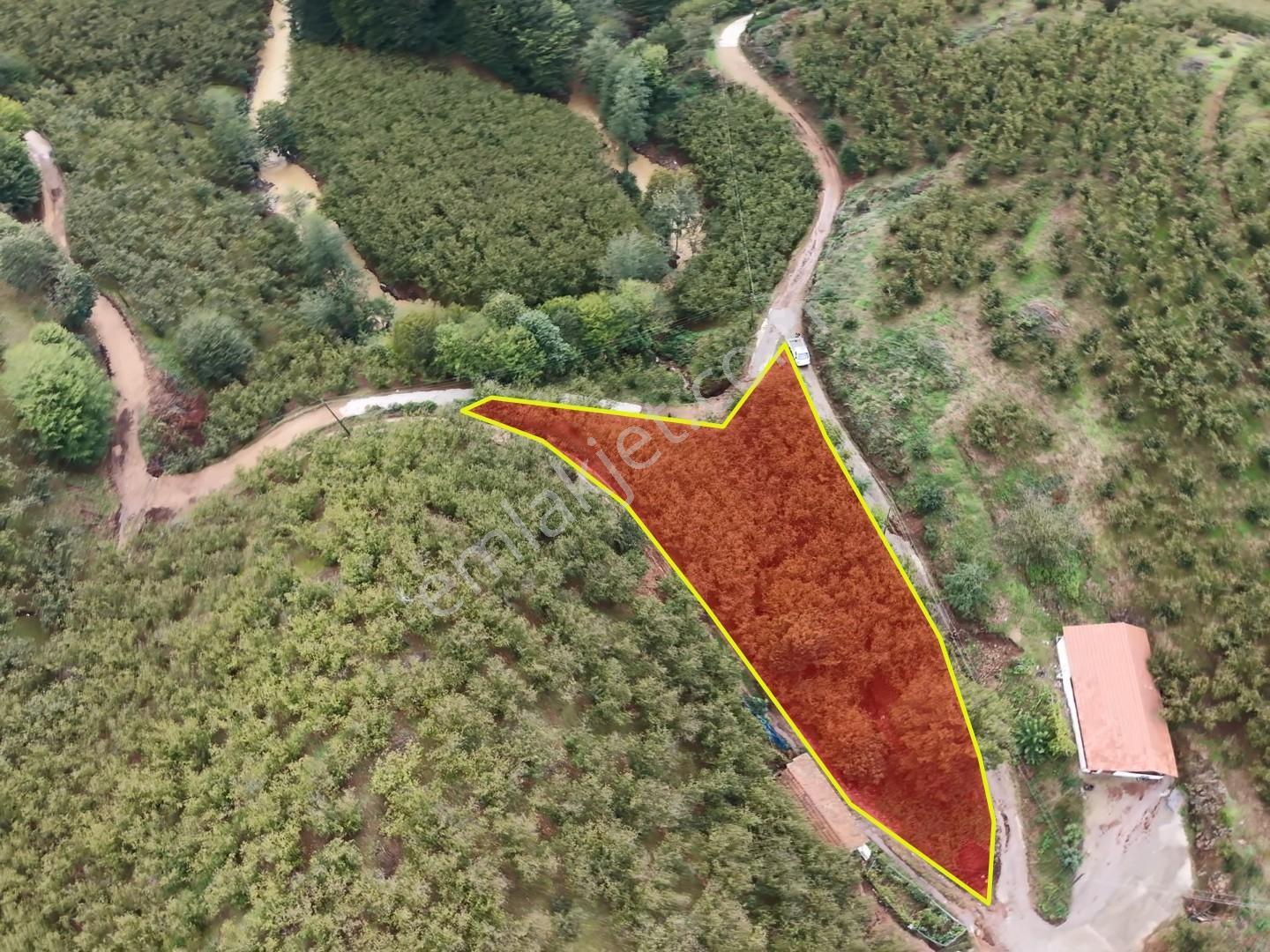 Emlakevim - Hendek Dereköy Mah. De Satılık 1222 M2 Arsa !!! — fotoğraf 6
