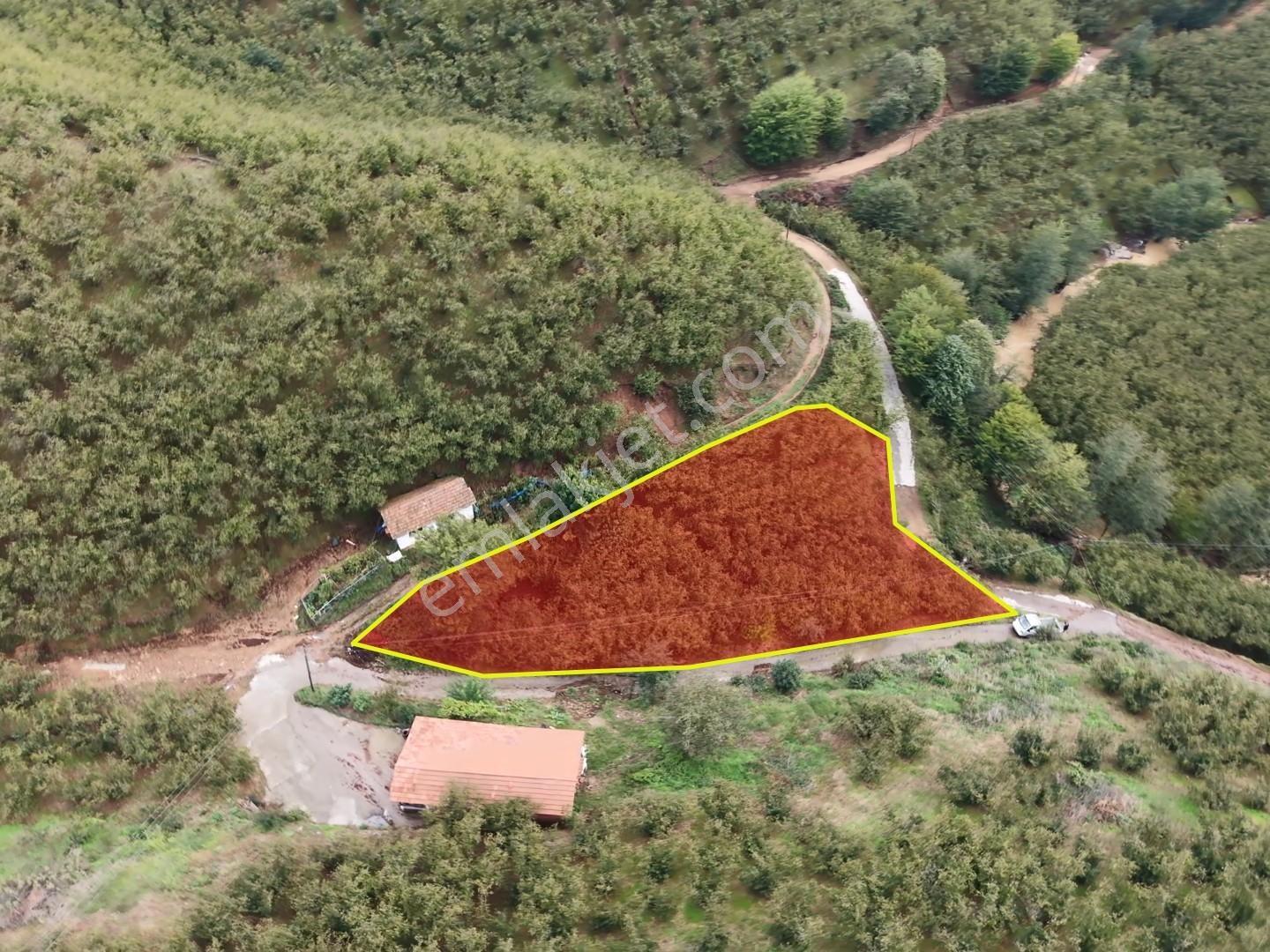 Emlakevim - Hendek Dereköy Mah. De Satılık 1222 M2 Arsa !!! — fotoğraf 7