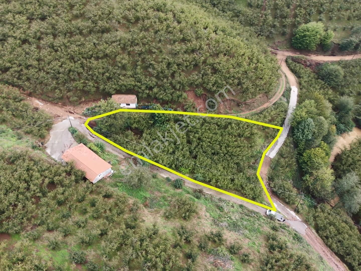 Emlakevim - Hendek Dereköy Mah. De Satılık 1222 M2 Arsa !!! — fotoğraf 8