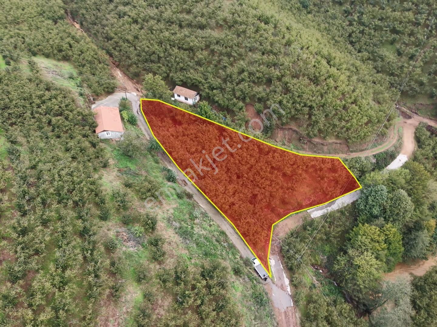 Emlakevim - Hendek Dereköy Mah. De Satılık 1222 M2 Arsa !!! — fotoğraf 9