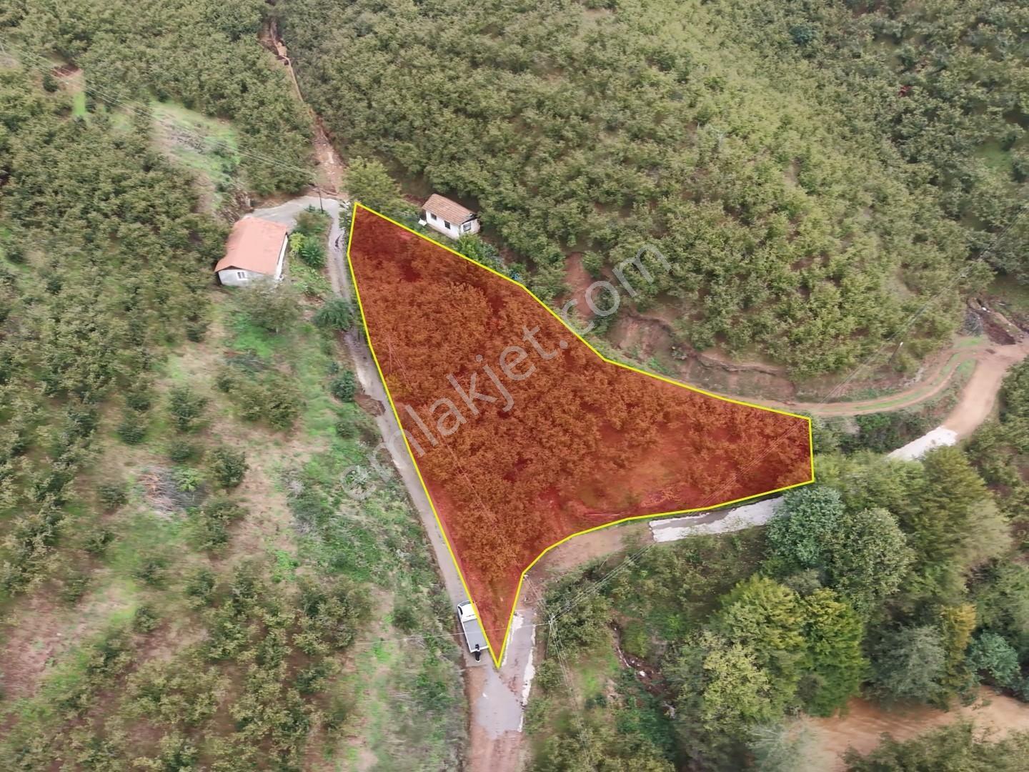 Emlakevim - Hendek Dereköy Mah. De Satılık 1222 M2 Arsa !!! — fotoğraf 10
