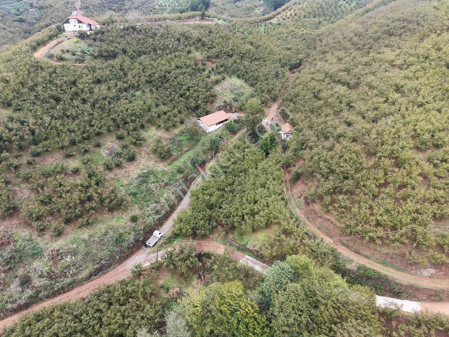 Emlakevim - Hendek Dereköy Mah. De Satılık 1222 M2 Arsa !!! — fotoğraf 11