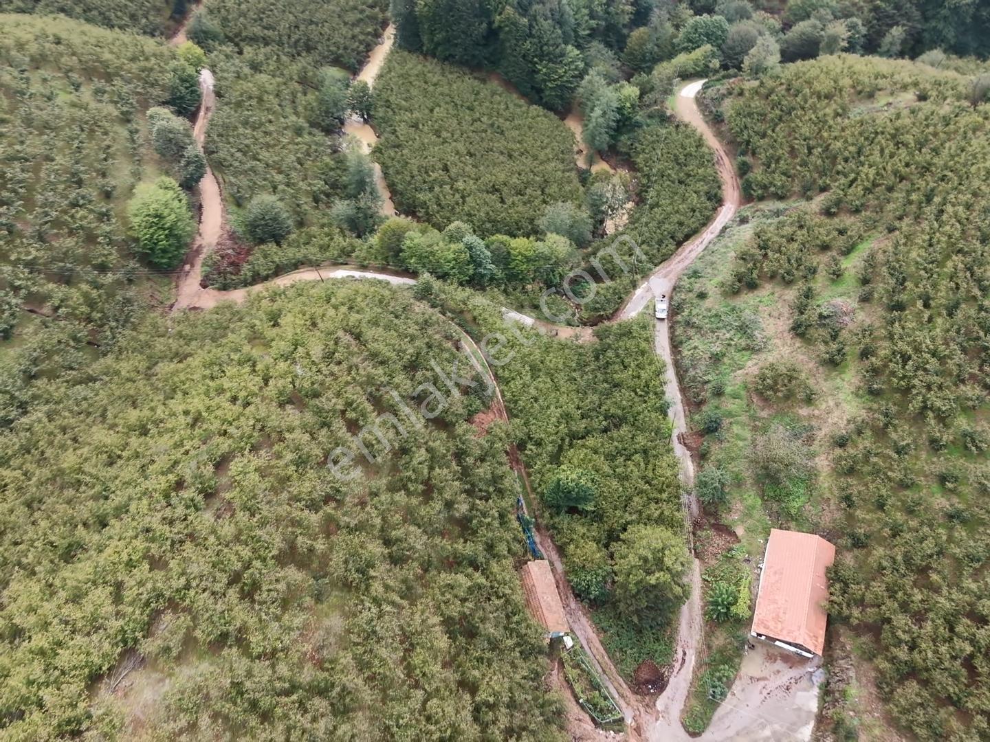 Emlakevim - Hendek Dereköy Mah. De Satılık 1222 M2 Arsa !!! — fotoğraf 12