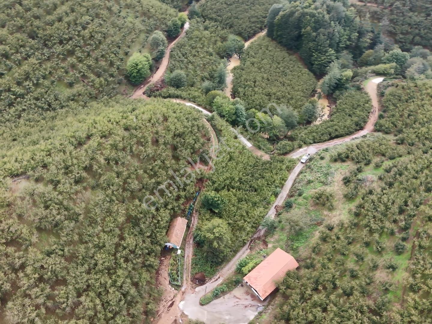 Emlakevim - Hendek Dereköy Mah. De Satılık 1222 M2 Arsa !!! — fotoğraf 13