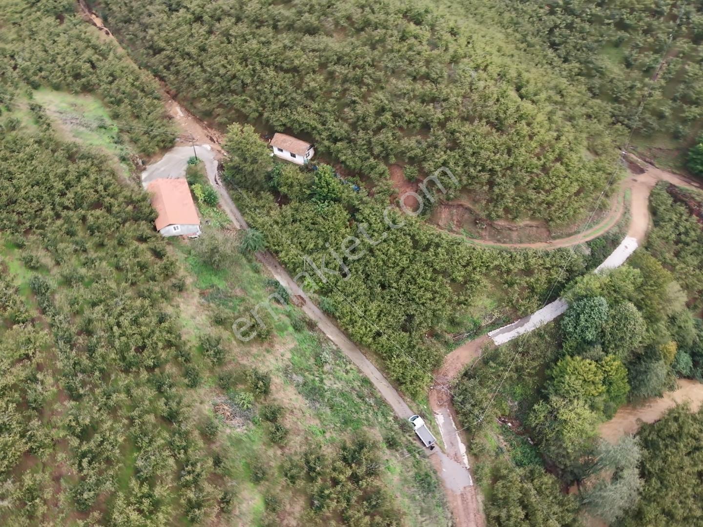 Emlakevim - Hendek Dereköy Mah. De Satılık 1222 M2 Arsa !!! — fotoğraf 14