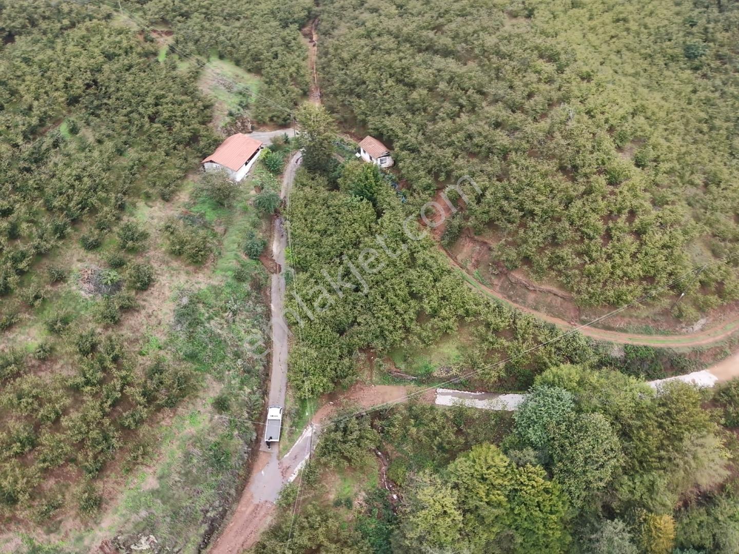 Emlakevim - Hendek Dereköy Mah. De Satılık 1222 M2 Arsa !!! — fotoğraf 15