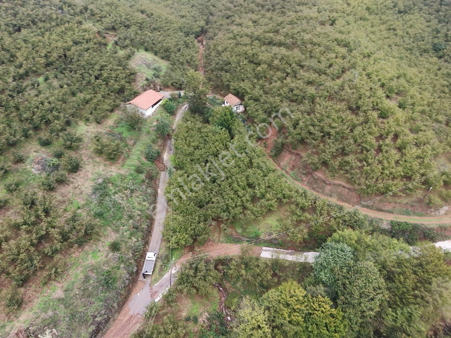 Emlakevim - Hendek Dereköy Mah. De Satılık 1222 M2 Arsa !!! — fotoğraf 16