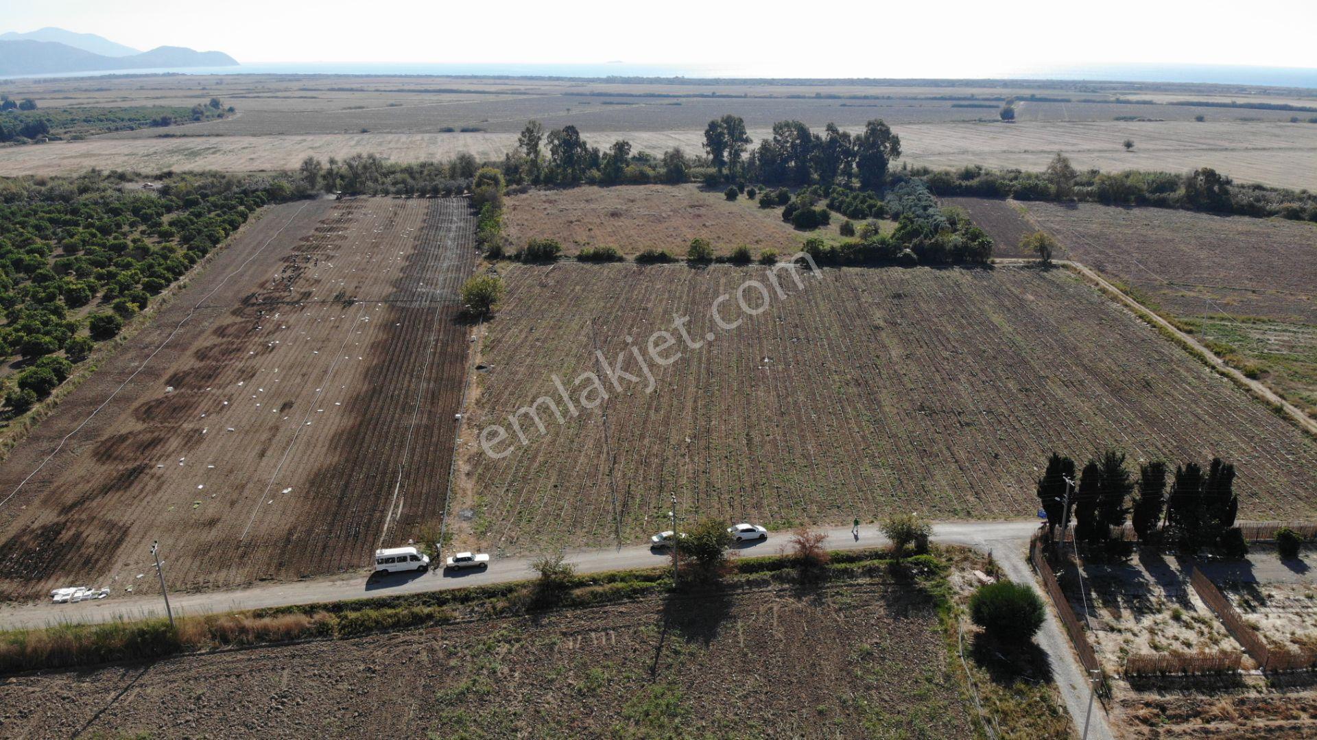 Manzara Emlaktan Satılık Tarla Hissesi / Kükürtlü Kaplıca Yanında — fotoğraf 8
