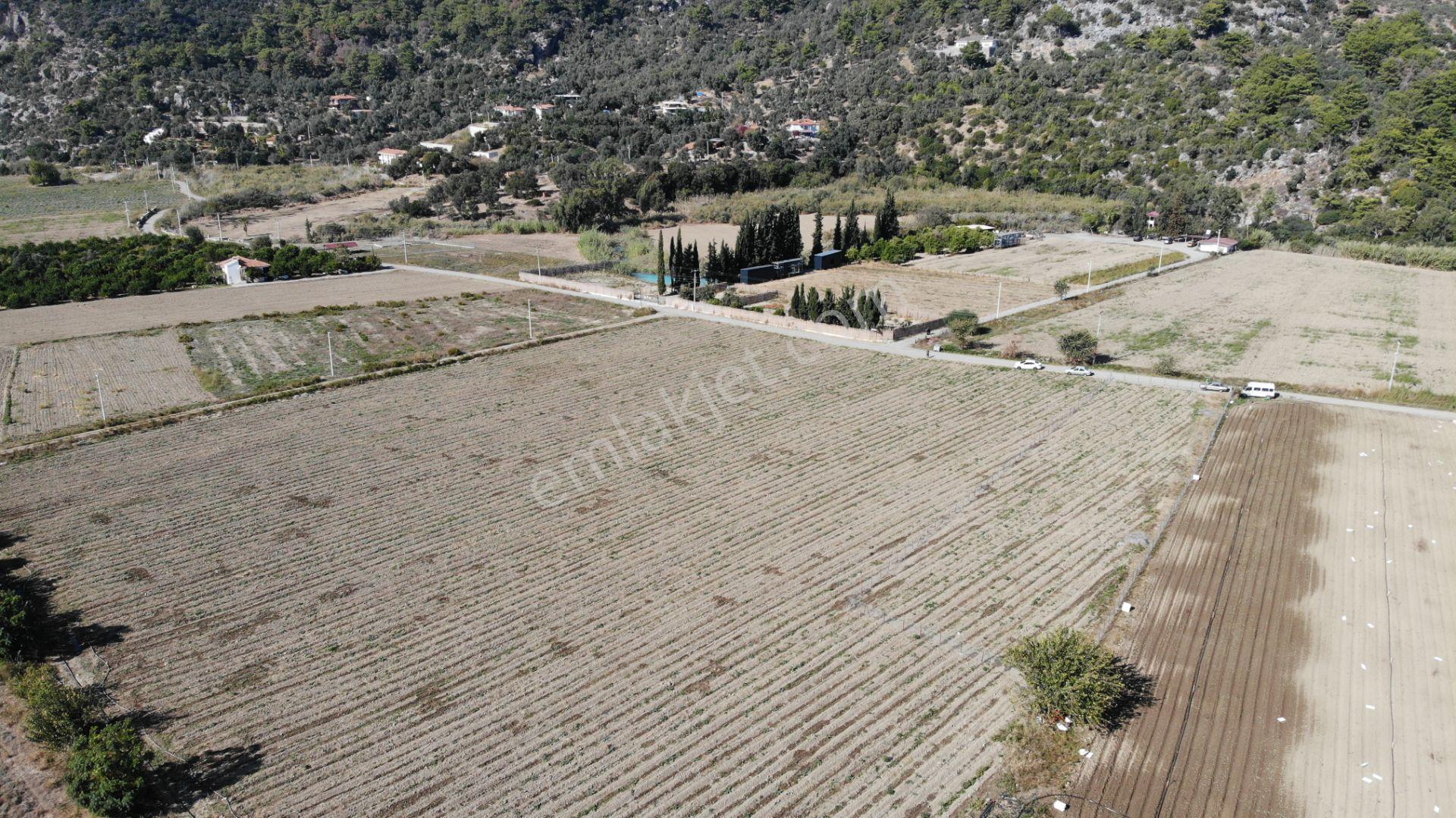 Manzara Emlaktan Satılık Tarla Hissesi / Kükürtlü Kaplıca Yanında — fotoğraf 14