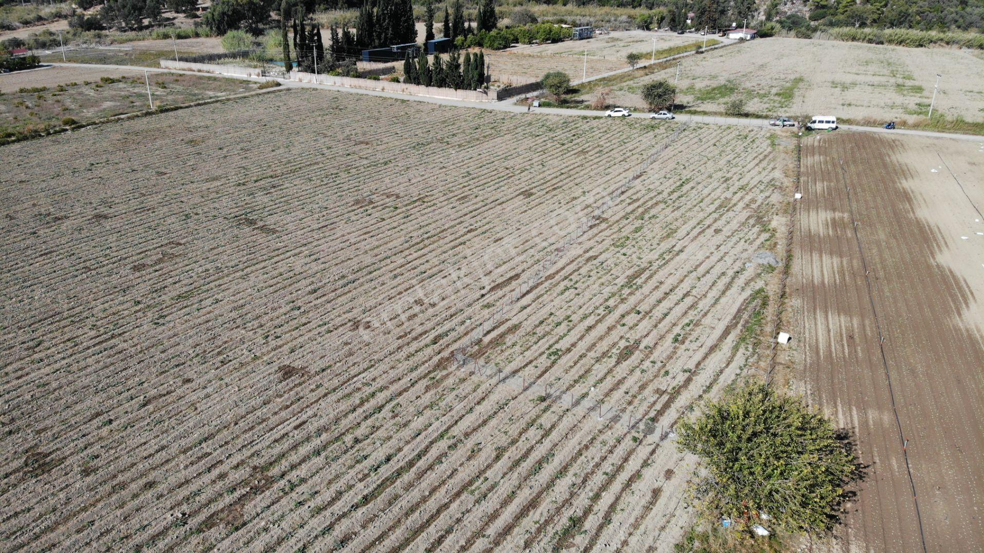 Manzara Emlaktan Satılık Tarla Hissesi / Kükürtlü Kaplıca Yanında — fotoğraf 29