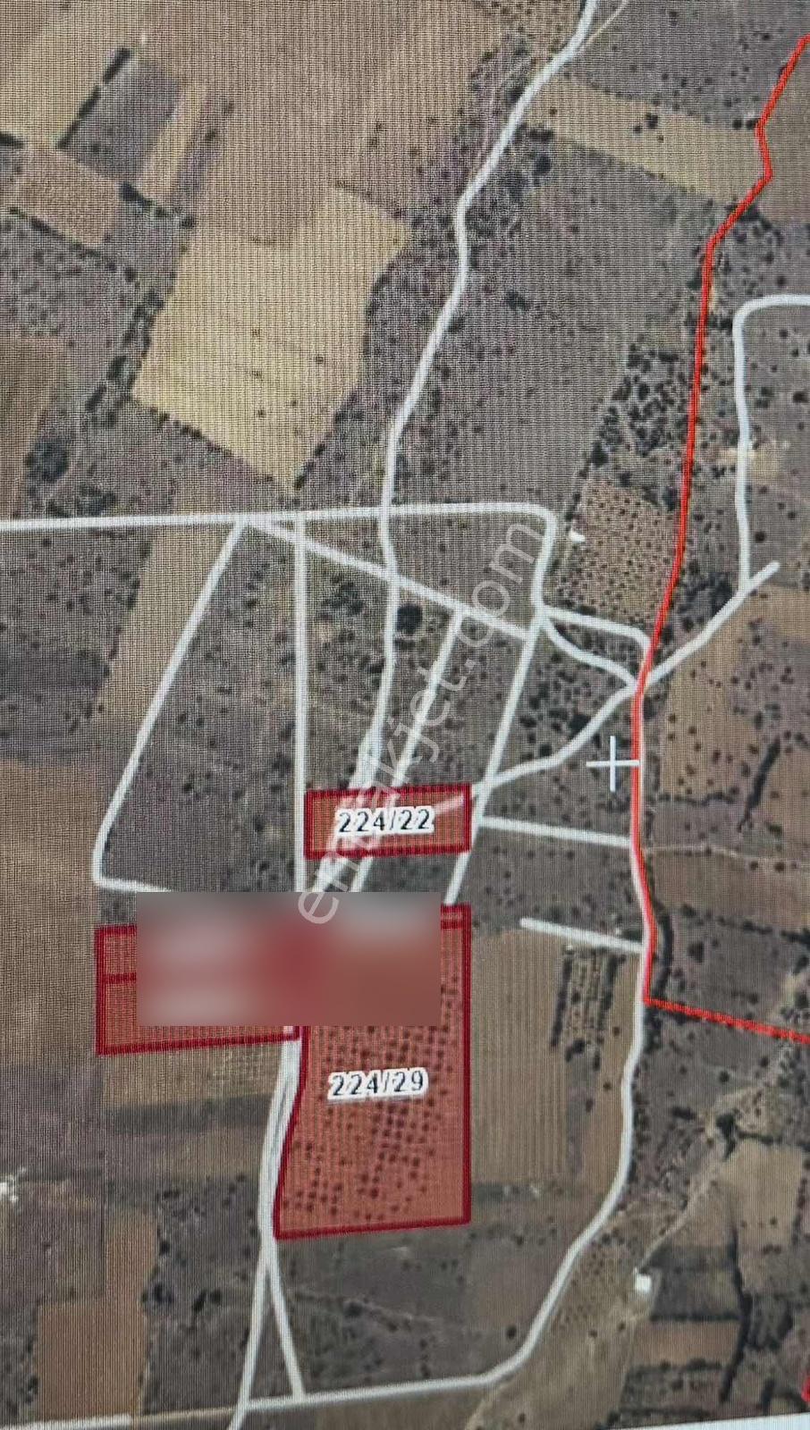 Şehzade'den Karahisar Mah.'de Satılık 99.049 M2 Ceviz Bahçesi — fotoğraf 3