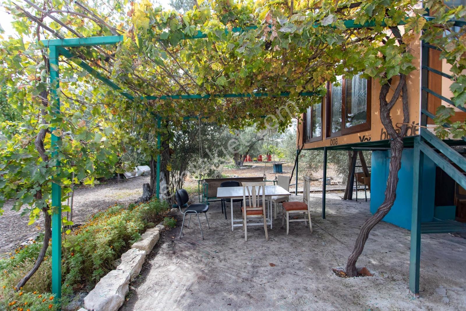 Aliağa Helvacı'da Satılık Müstakil Tapulu Zeytinli Tarla — fotoğraf 5