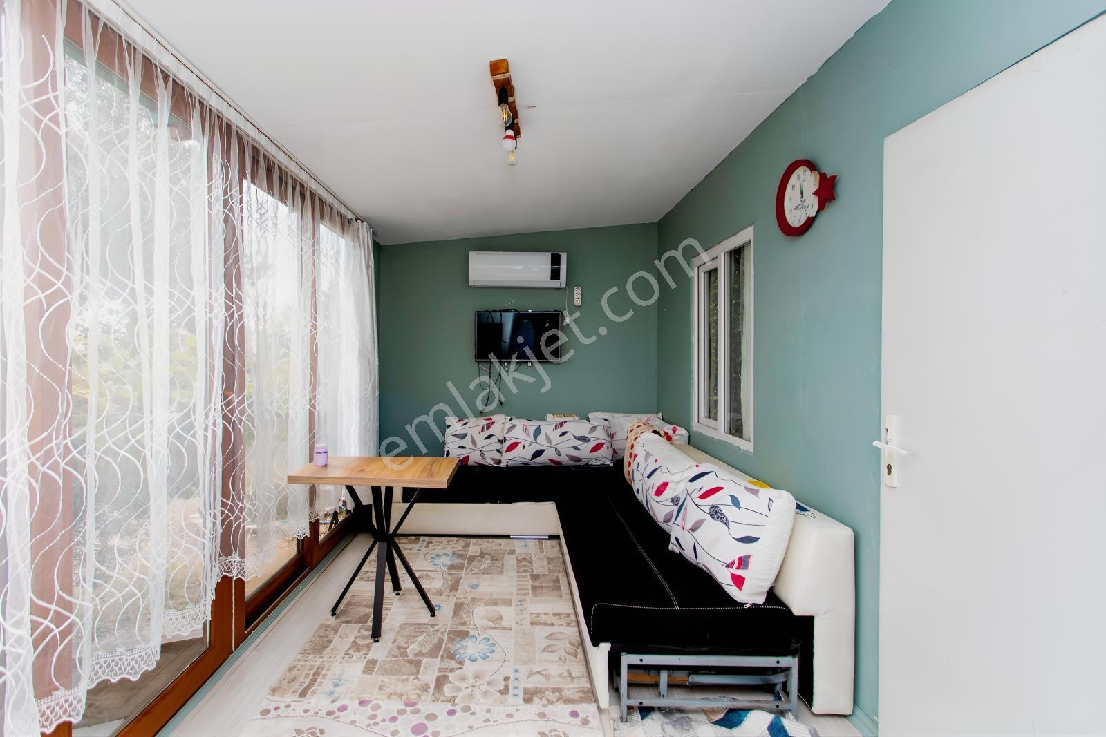 Aliağa Helvacı'da Satılık Müstakil Tapulu Zeytinli Tarla — fotoğraf 9