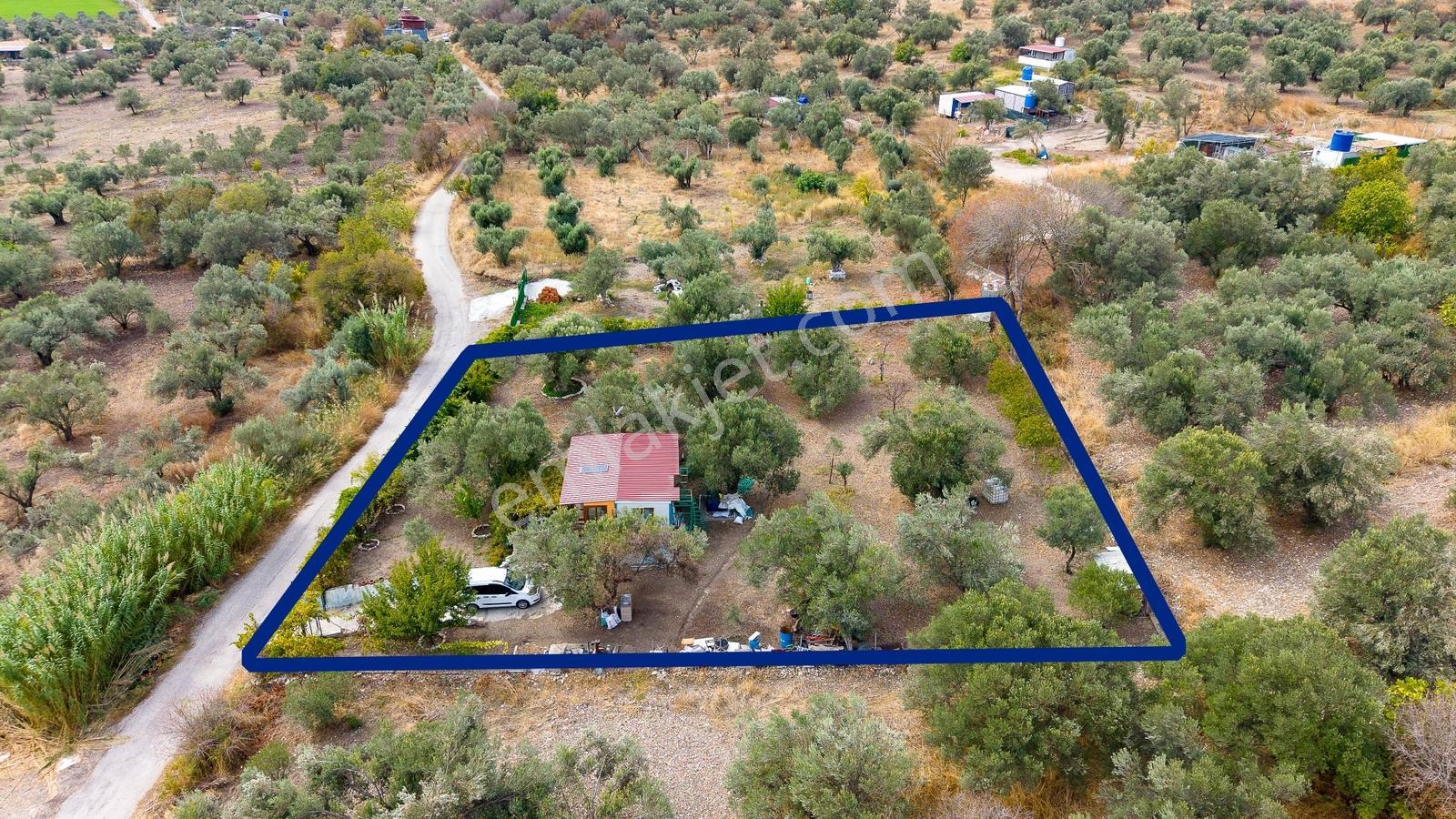 Aliağa Helvacı'da Satılık Müstakil Tapulu Zeytinli Tarla — fotoğraf 19