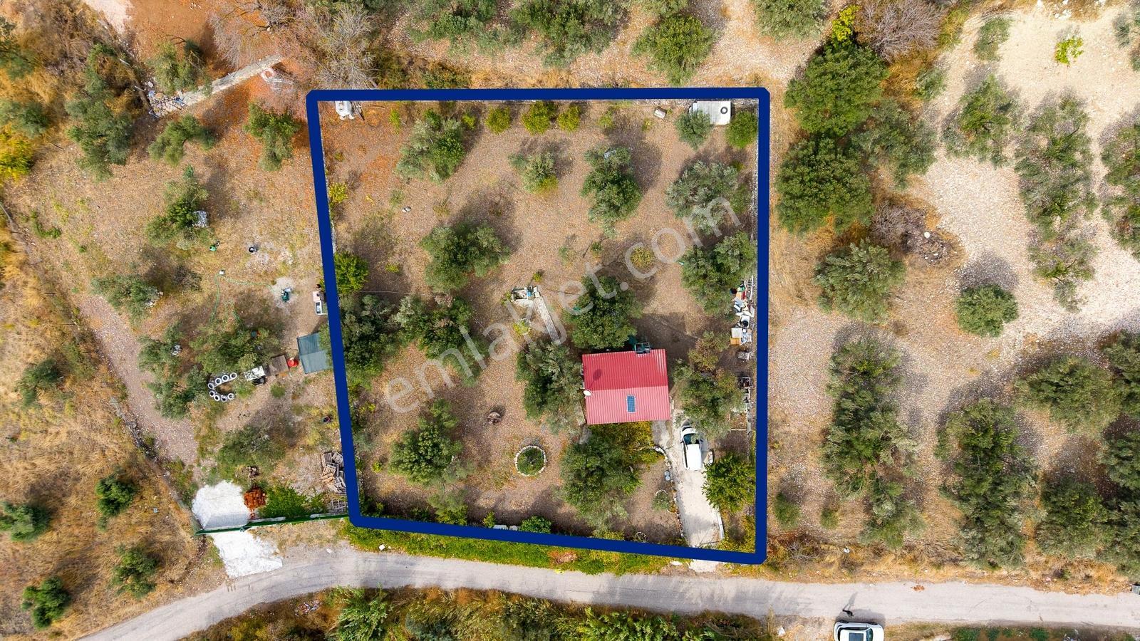 Aliağa Helvacı'da Satılık Müstakil Tapulu Zeytinli Tarla — fotoğraf 20