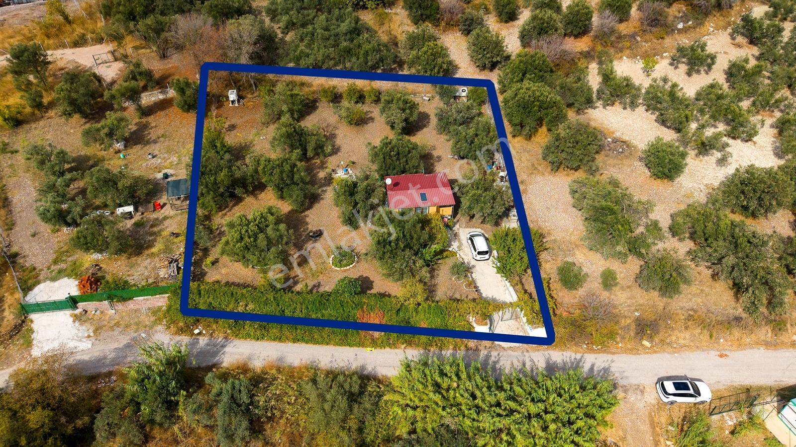 Aliağa Helvacı'da Satılık Müstakil Tapulu Zeytinli Tarla — fotoğraf 21