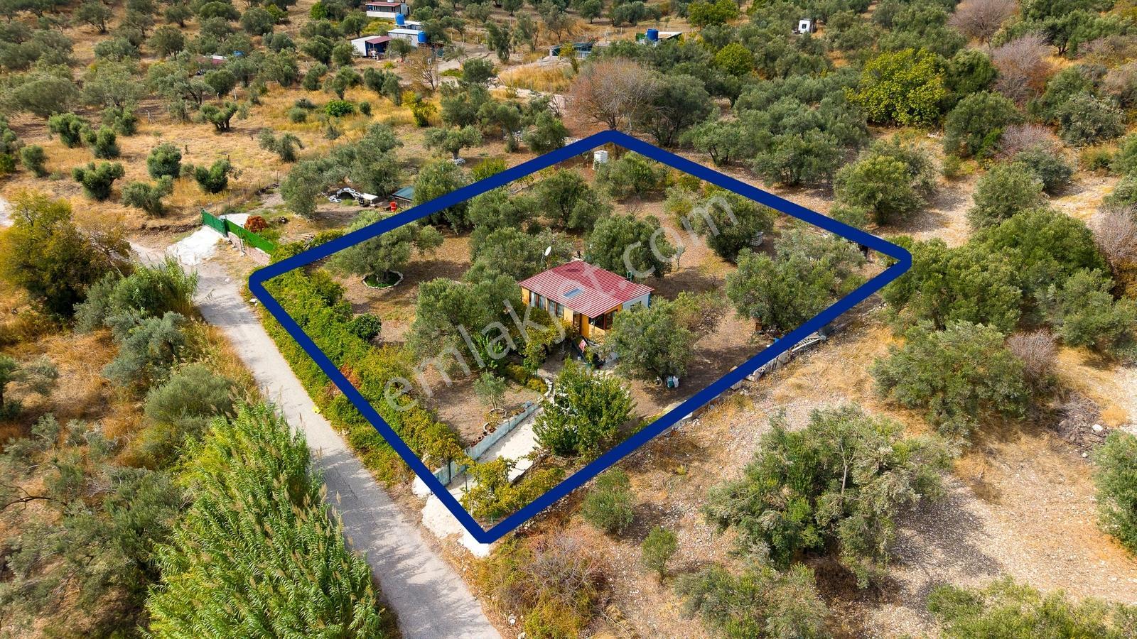 Aliağa Helvacı'da Satılık Müstakil Tapulu Zeytinli Tarla — fotoğraf 24