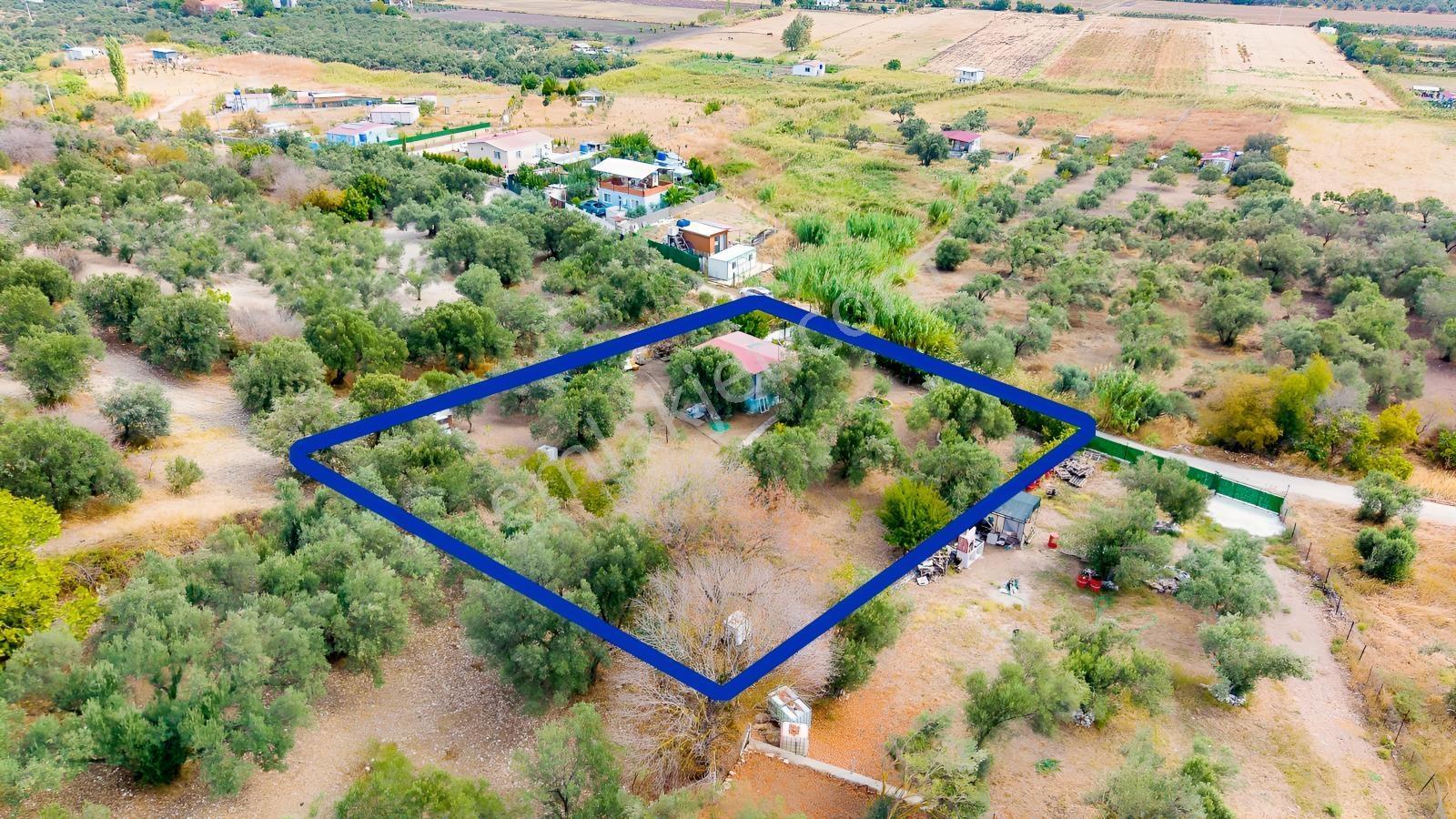 Aliağa Helvacı'da Satılık Müstakil Tapulu Zeytinli Tarla — fotoğraf 28