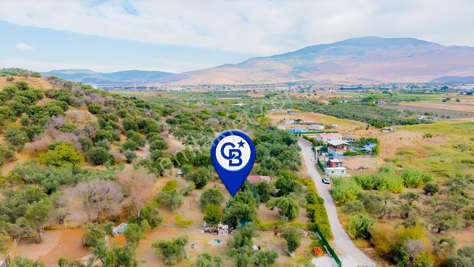 Aliağa Helvacı'da Satılık Müstakil Tapulu Zeytinli Tarla — fotoğraf 30