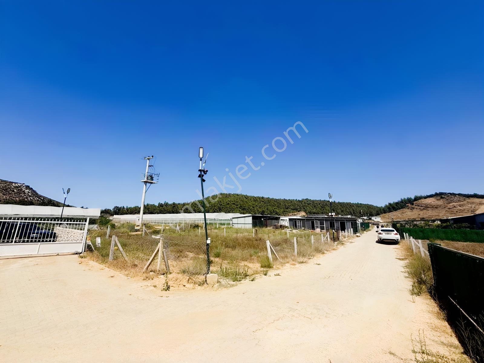 İzmir Menderes'te 428m2 Satılık Hobi Bahçesi — fotoğraf 6