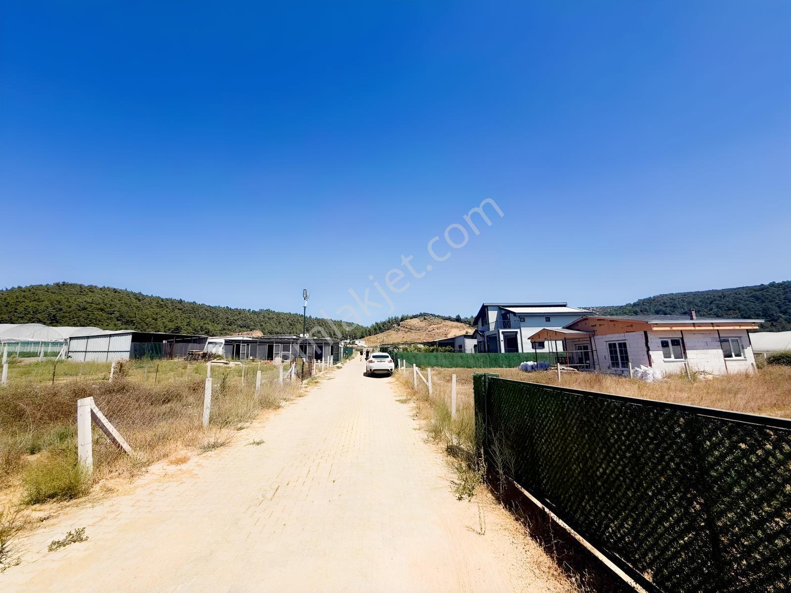 İzmir Menderes'te 428m2 Satılık Hobi Bahçesi — fotoğraf 7