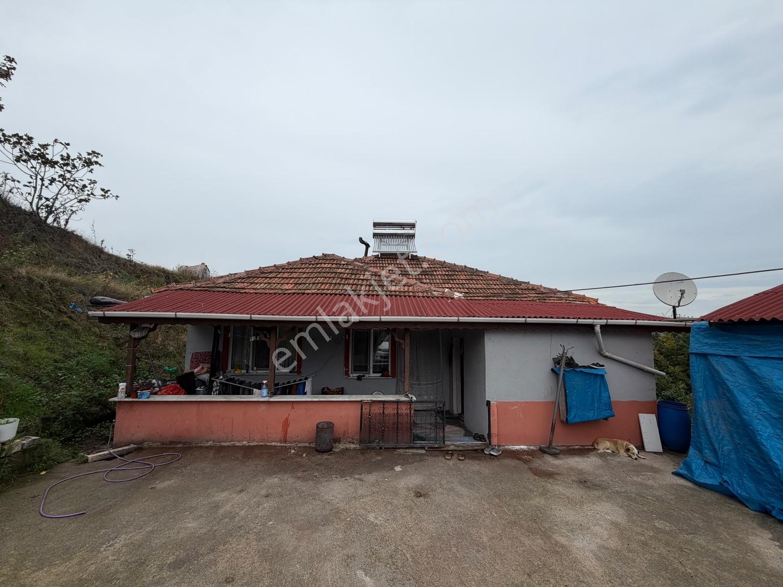 Emlak Evim - Dereköy De 2.187 M2 Arsa İçinde Müstakil Ev — fotoğraf 2