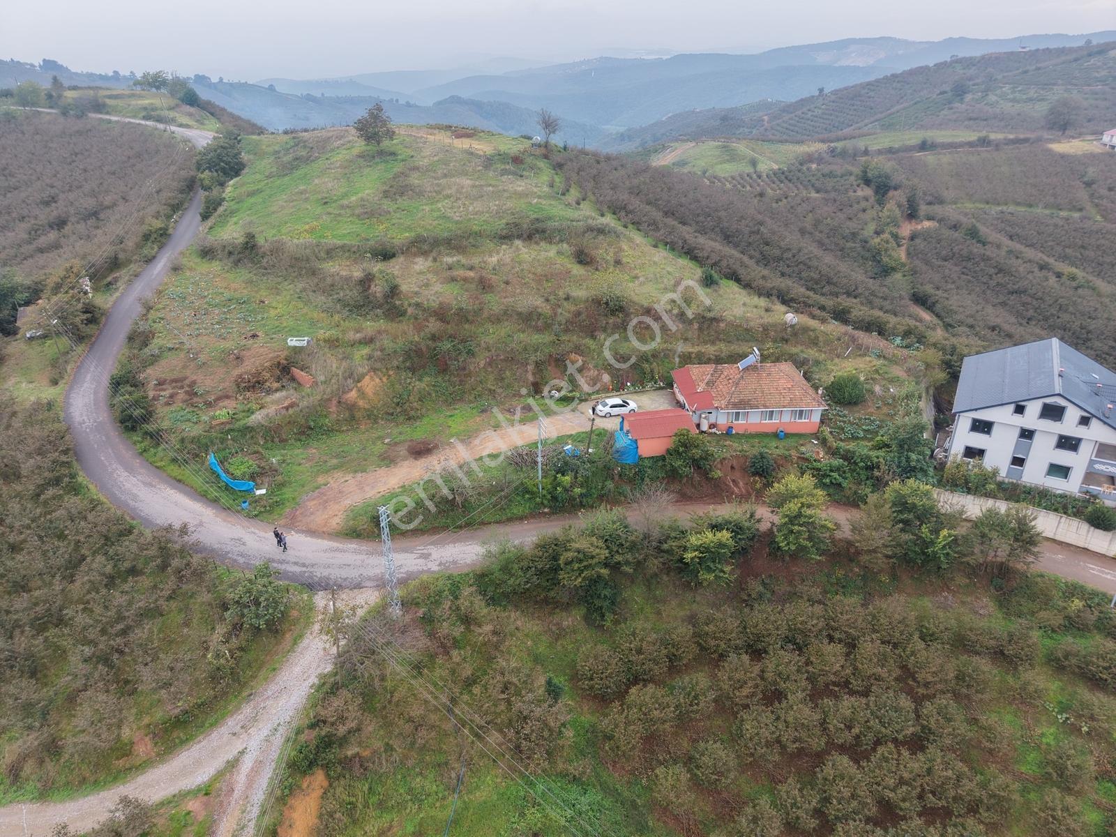 Emlak Evim - Dereköy De 2.187 M2 Arsa İçinde Müstakil Ev — fotoğraf 3