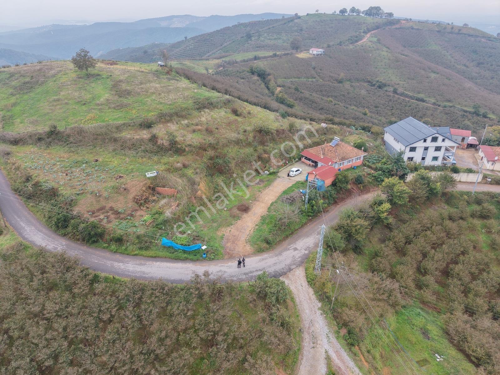 Emlak Evim - Dereköy De 2.187 M2 Arsa İçinde Müstakil Ev — fotoğraf 4