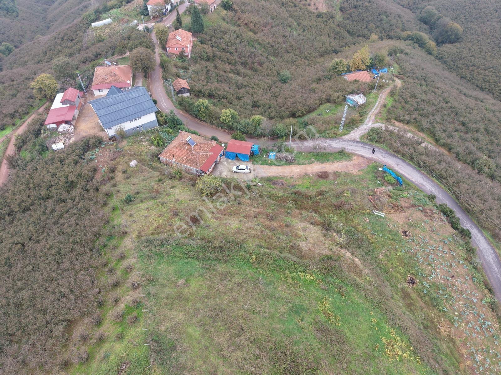 Emlak Evim - Dereköy De 2.187 M2 Arsa İçinde Müstakil Ev — fotoğraf 6
