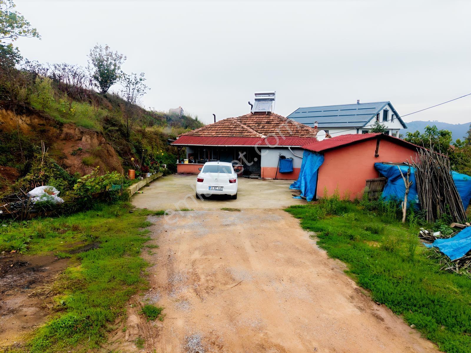 Emlak Evim - Dereköy De 2.187 M2 Arsa İçinde Müstakil Ev — fotoğraf 8