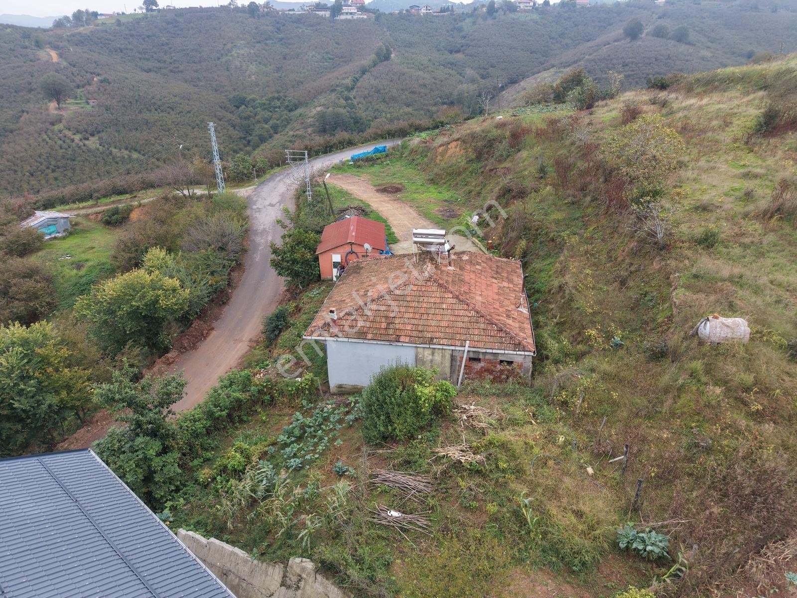 Emlak Evim - Dereköy De 2.187 M2 Arsa İçinde Müstakil Ev — fotoğraf 16