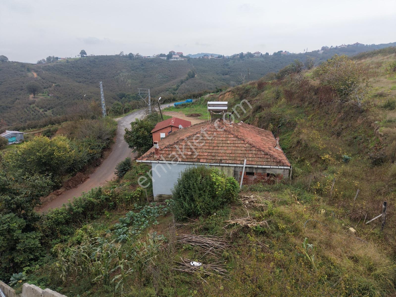 Emlak Evim - Dereköy De 2.187 M2 Arsa İçinde Müstakil Ev — fotoğraf 17
