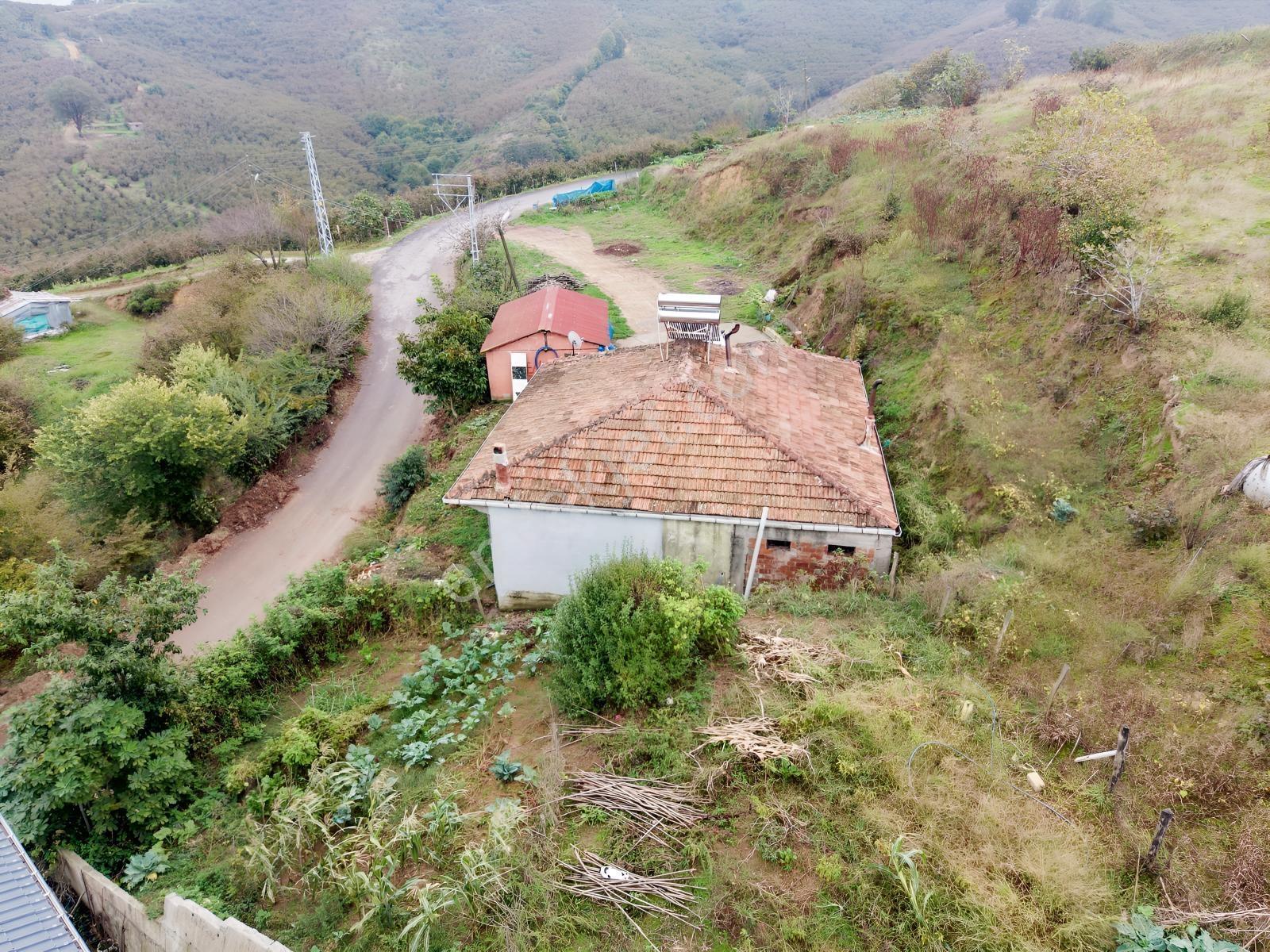 Emlak Evim - Dereköy De 2.187 M2 Arsa İçinde Müstakil Ev — fotoğraf 18