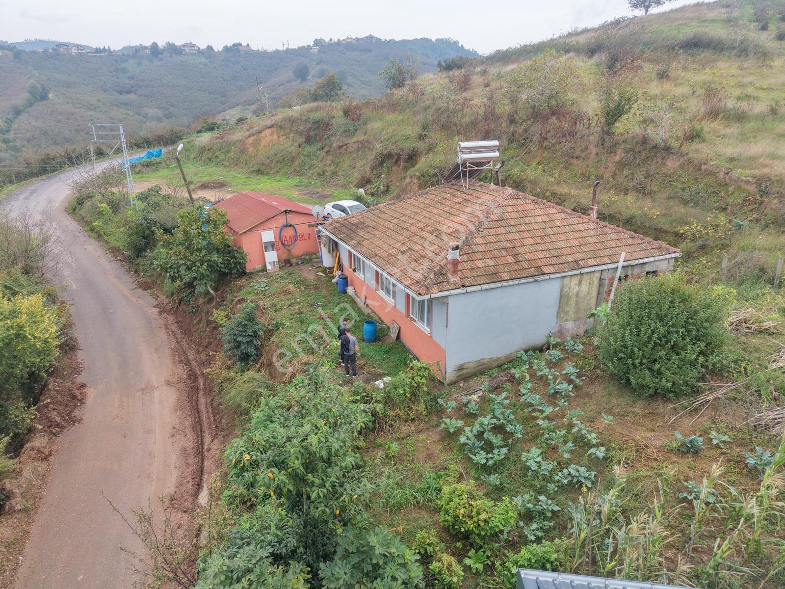 Emlak Evim - Dereköy De 2.187 M2 Arsa İçinde Müstakil Ev — fotoğraf 19