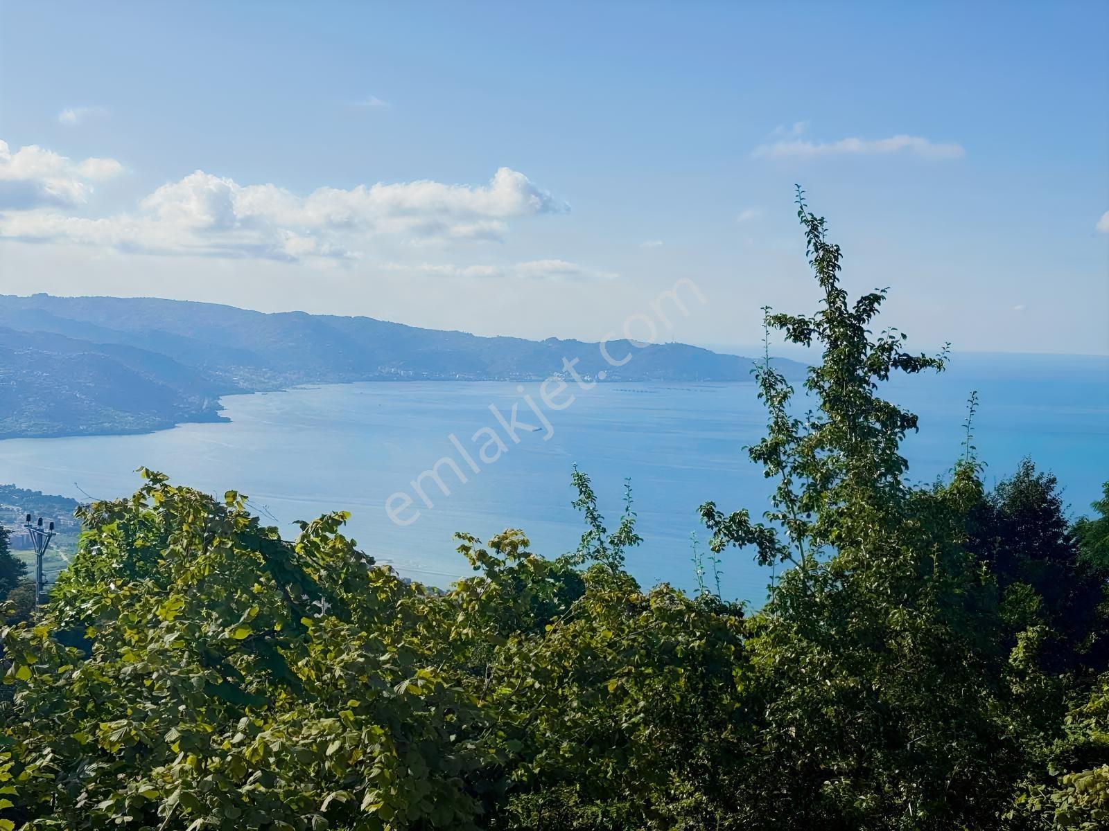 Acill Satılık Villa Doga Ve Deniz Manzaralı — fotoğraf 6