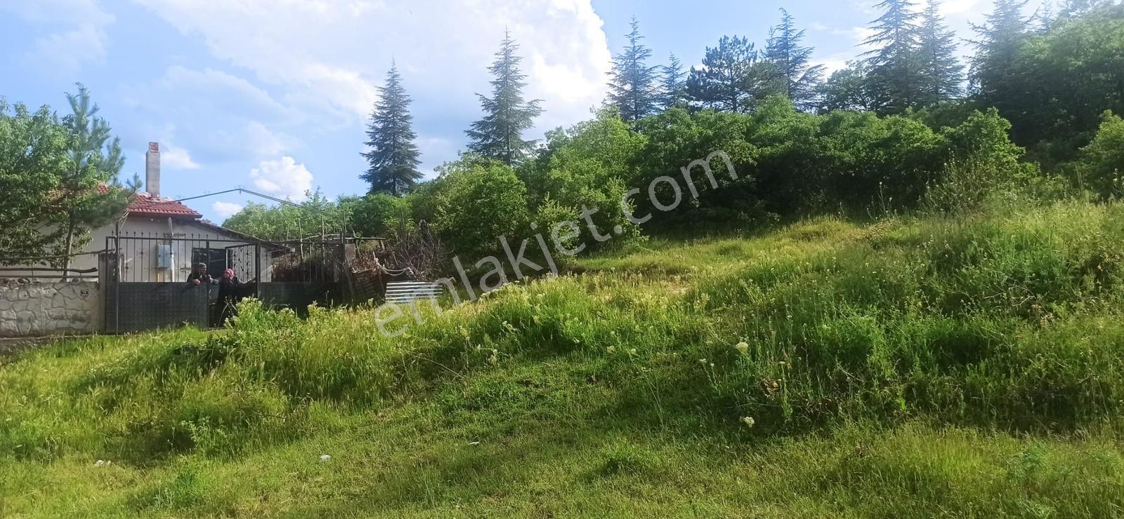 Şentepe Mah Huzurevi Ve Hastane Yakını İmarlı Satılık Arsalar