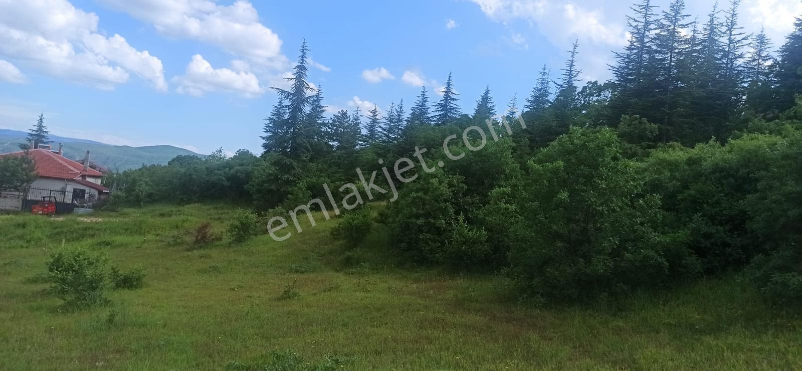 Şentepe Mah Huzurevi Ve Hastane Yakını İmarlı Satılık Arsalar — fotoğraf 2