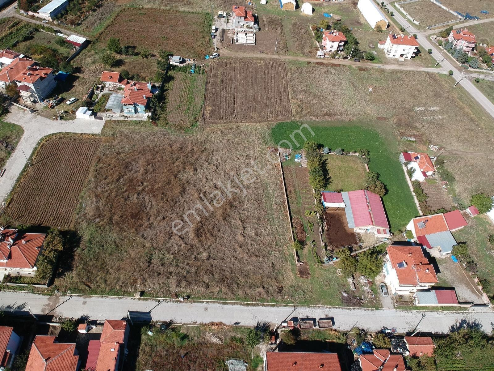 İlbey // Şuhut Merkez "ebubekir Camii" Yanında Satılık Arsalar — fotoğraf 2