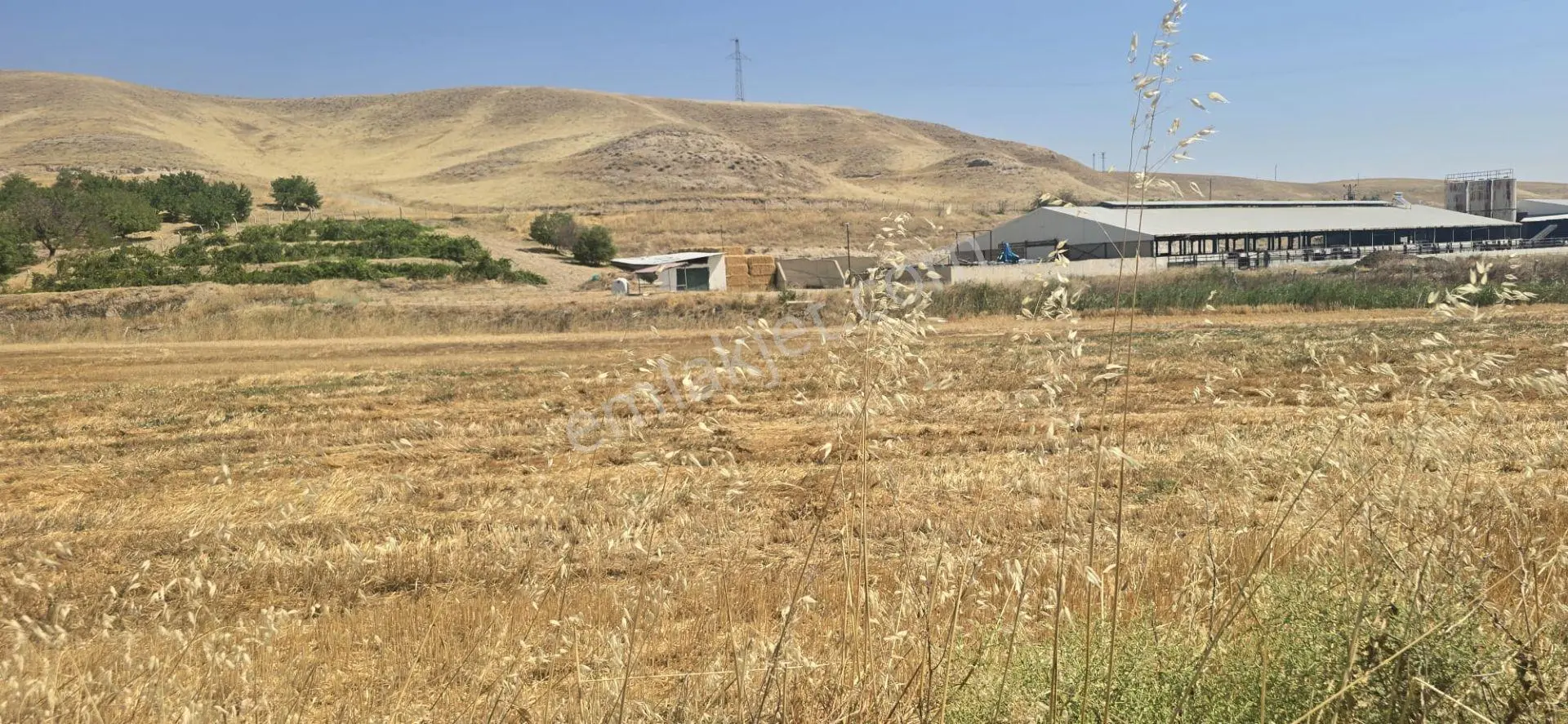 Yeşilyurt Kırkpınar Da Acil Satılık 7 Dünüm Asvalta Cephe Satılık Tarla Elektrik...