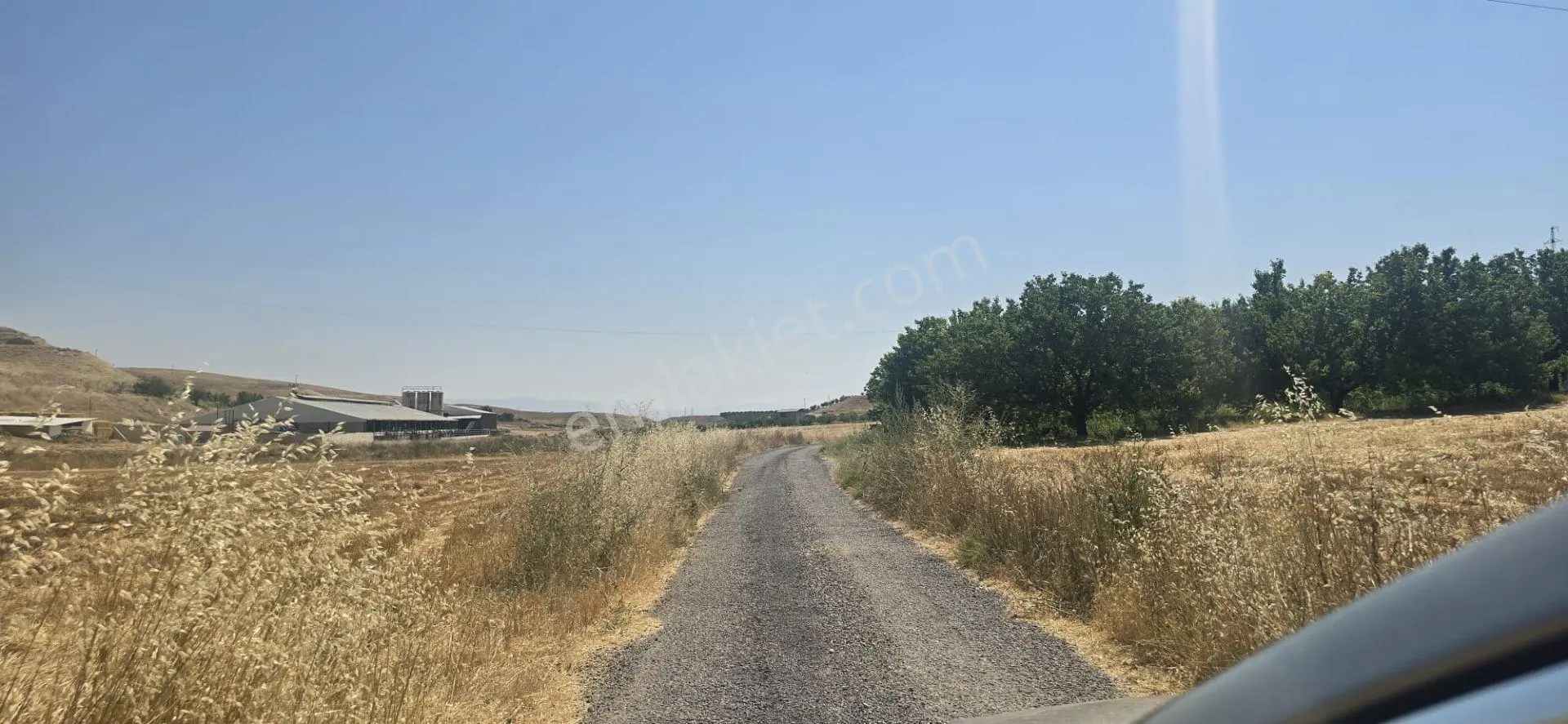 Yeşilyurt Kırkpınar Da Acil Satılık 7 Dünüm Asvalta Cephe Satılık Tarla Elektrik İçme Suyu Var — fotoğraf 3