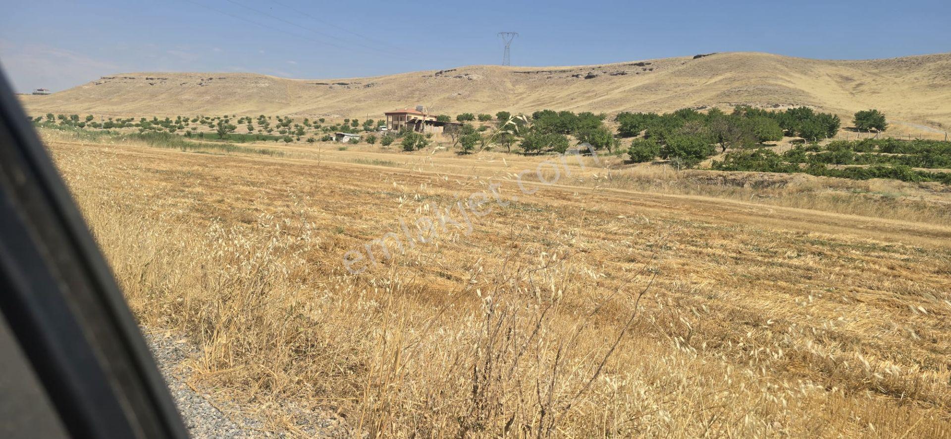 Yeşilyurt Kırkpınar Da Acil Satılık 7 Dünüm Asvalta Cephe Satılık Tarla Elektrik İçme Suyu Var — fotoğraf 7