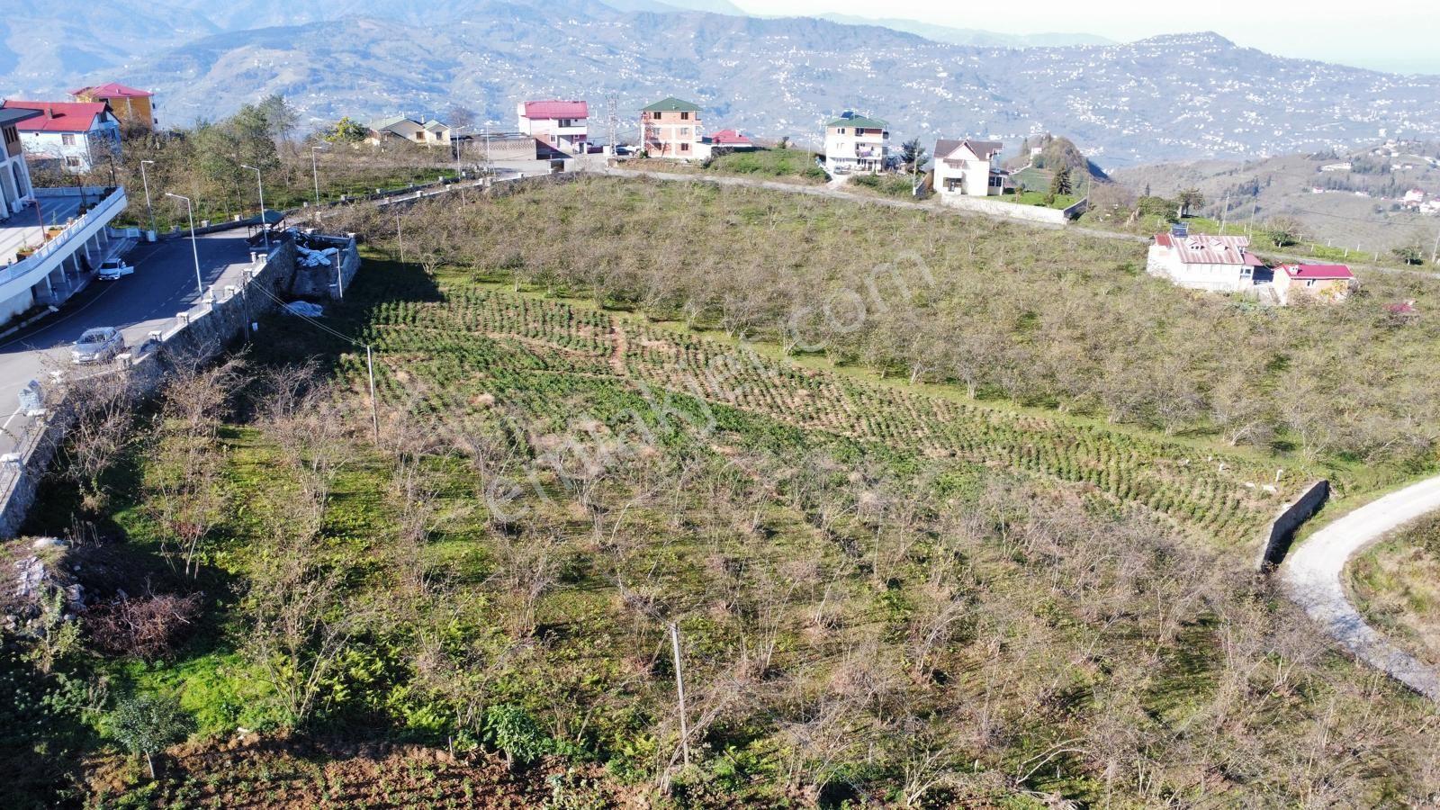 Trabzon Ortahisar Esenyurt Mah.Satılık 2.5 Dönüm Arsa