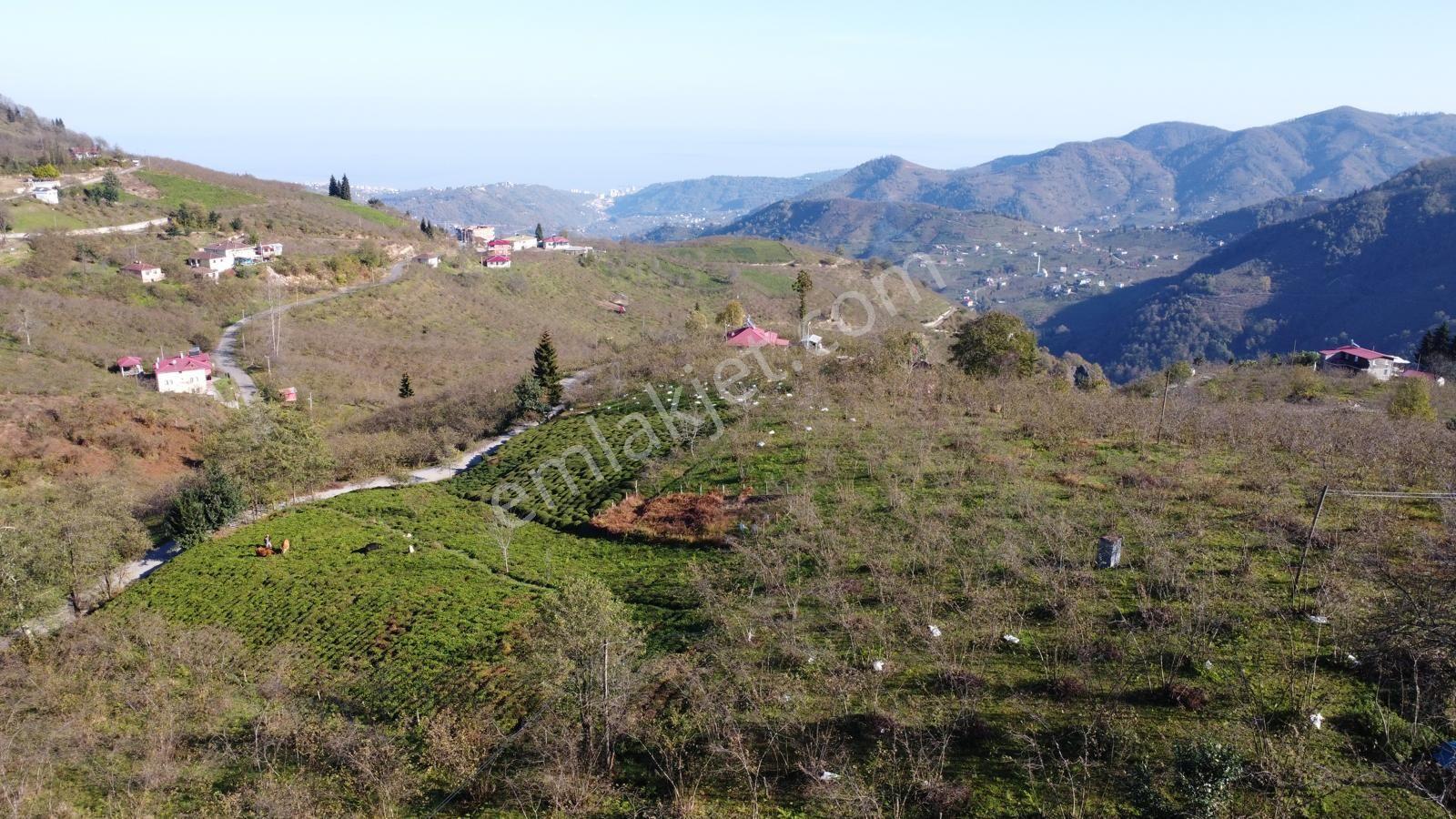 Trabzon Ortahisar Esenyurt Mah.satılık 2.5 Dönüm Arsa — fotoğraf 3