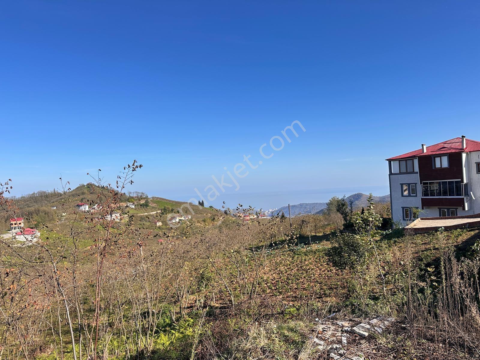 Trabzon Ortahisar Esenyurt Mah.satılık 2.5 Dönüm Arsa — fotoğraf 4