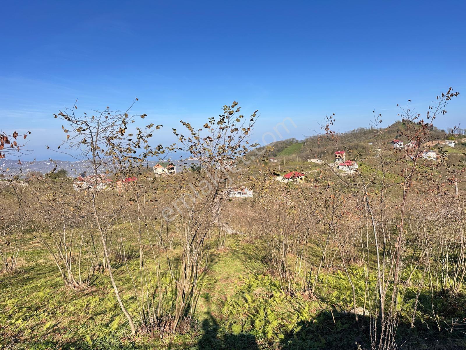 Trabzon Ortahisar Esenyurt Mah.satılık 2.5 Dönüm Arsa — fotoğraf 5