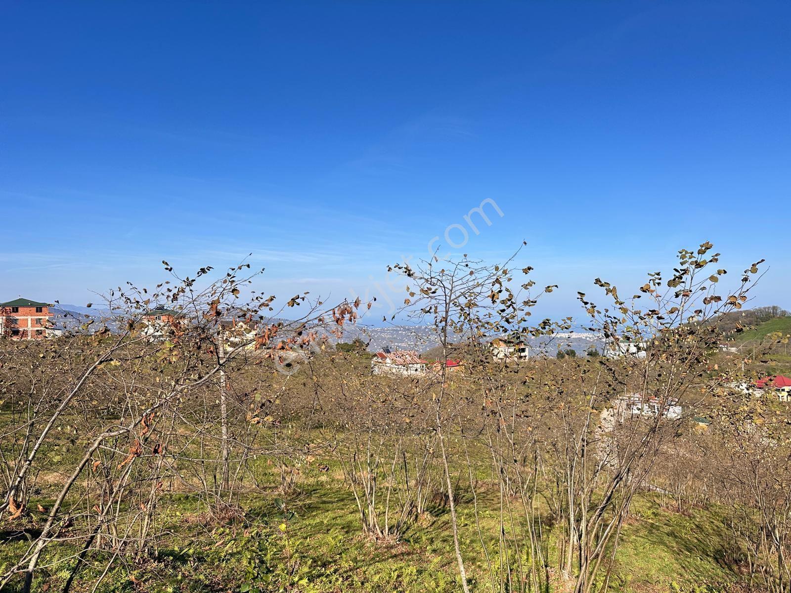 Trabzon Ortahisar Esenyurt Mah.satılık 2.5 Dönüm Arsa — fotoğraf 7